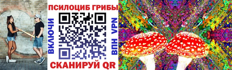 мориарти Telegram купить наркотики сайты Кизляр Псилоцибиновые грибы GOLDEN TEACHER